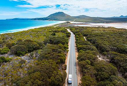 Monkey Mia - Geraldton