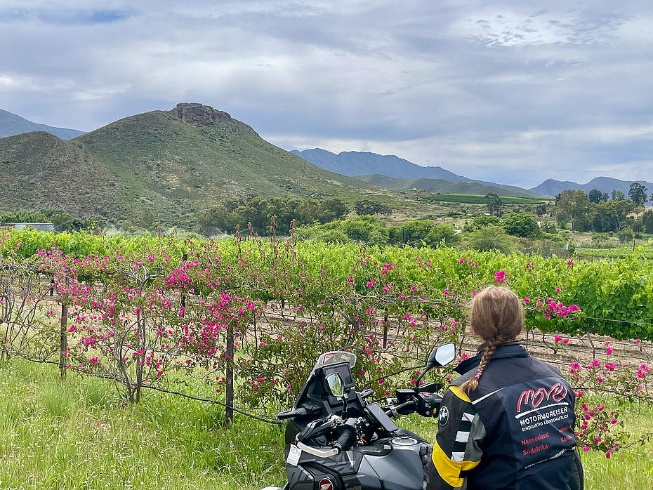 Motorradreise Südafrika Weinregion