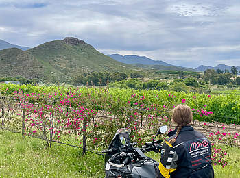 Suedafrika_Motorradreise-Bezaubernde Weinregion