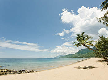 Australien-Motorradtour-Strand-Palme