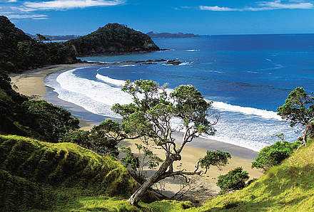 Neuseeland-Strand an Matai Bay