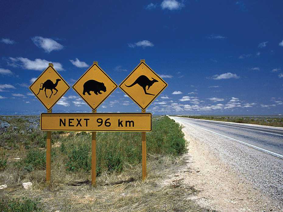 Australien-Motorradtour-Schild-Tiere2.jpg