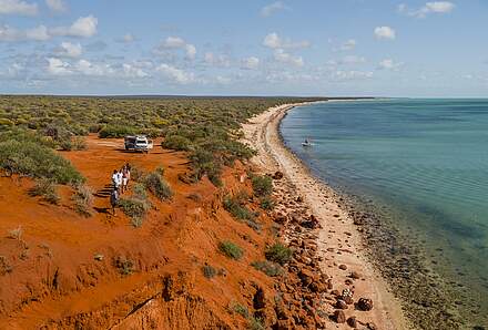 Monkey Mia - freier Tag