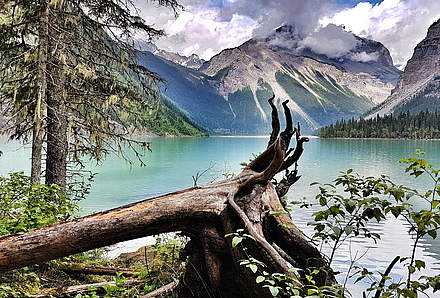 Von Valemount/Mt. Robson nach Kamloops