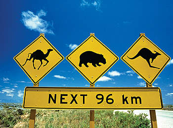 Australien-Motorradreise-Kaenguru-Schild
