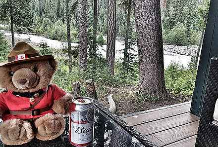 Von Nelson nach Revelstoke