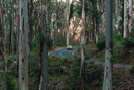 Busselton - Pemberton