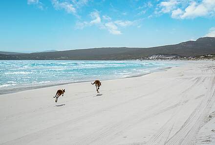 Esperance - freier Tag