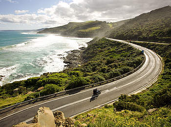 Australien-Motorradreise-GreatOceanRoad-Otway National Park