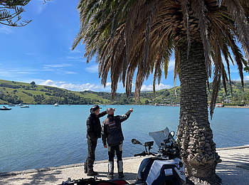 Neuseeland-Motorrad-Akaroa-F750GS&Palme.jpeg