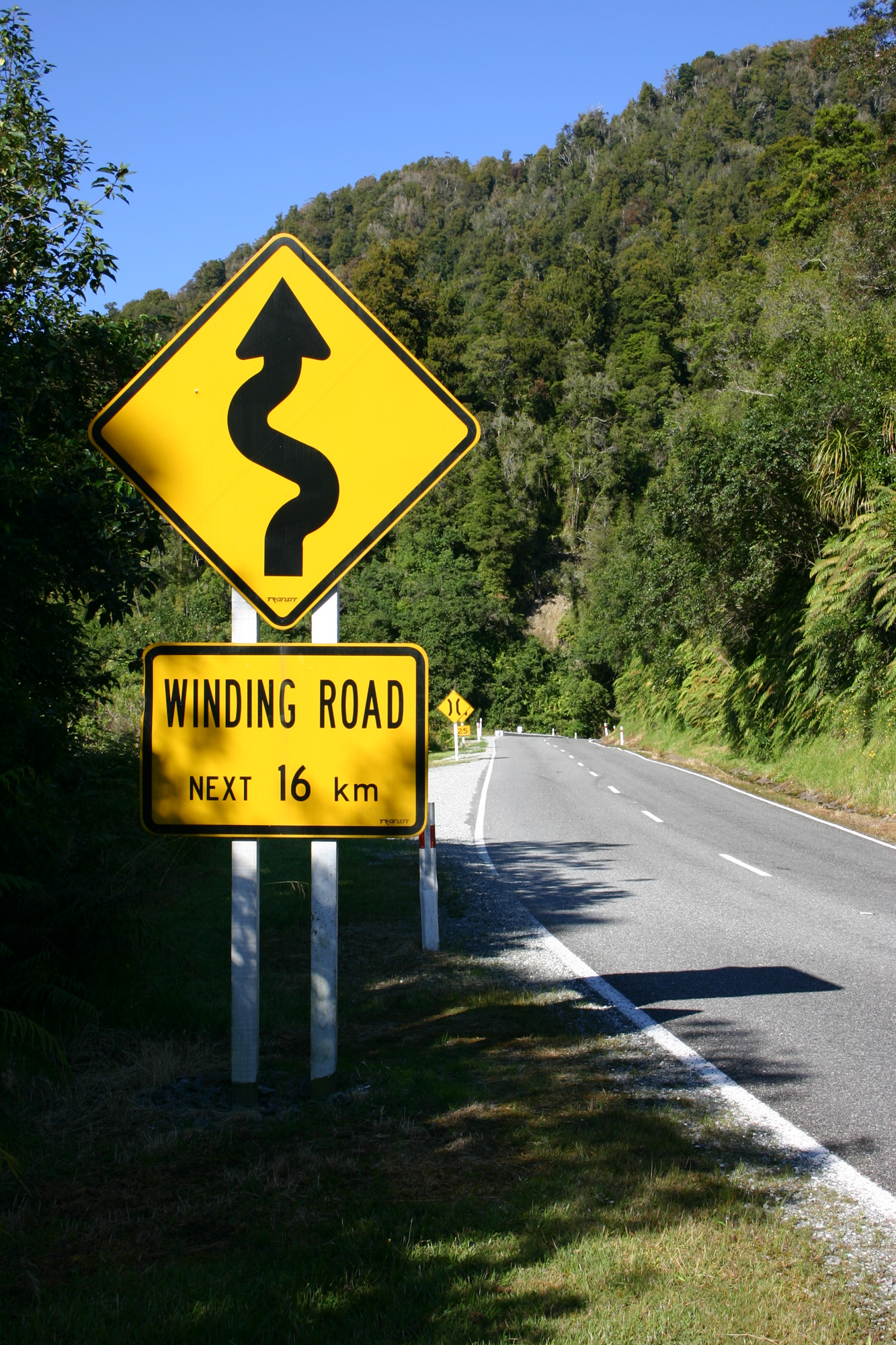 Fox Glacier - Punakaiki (IT)