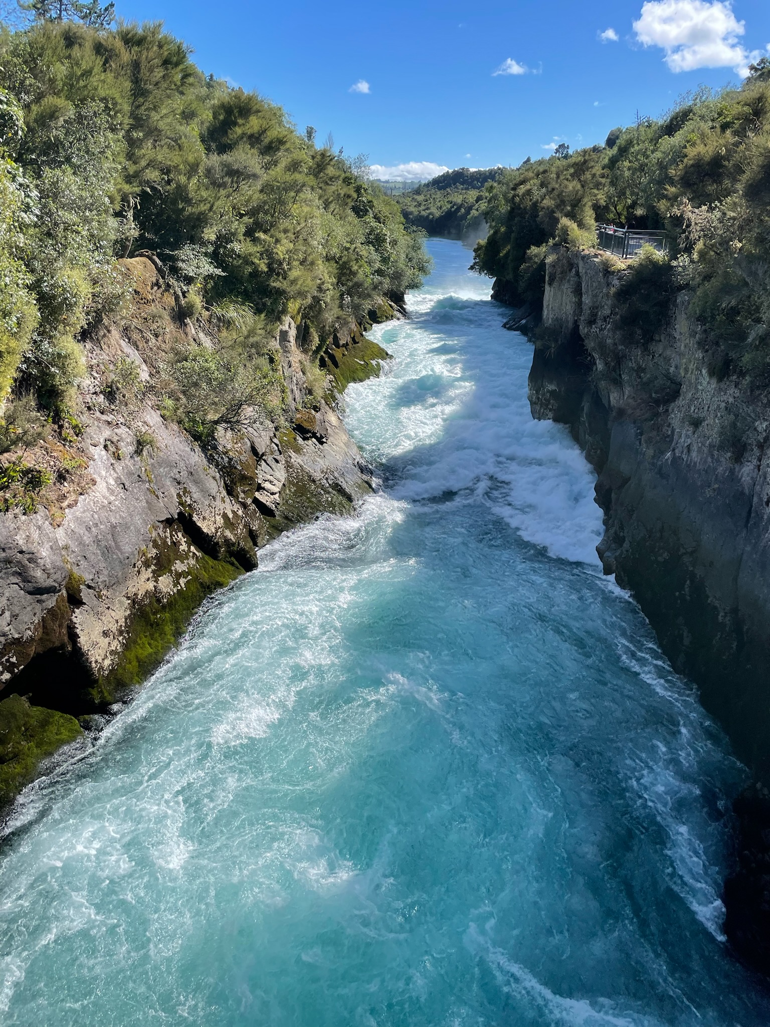 Taupo - freier Tag