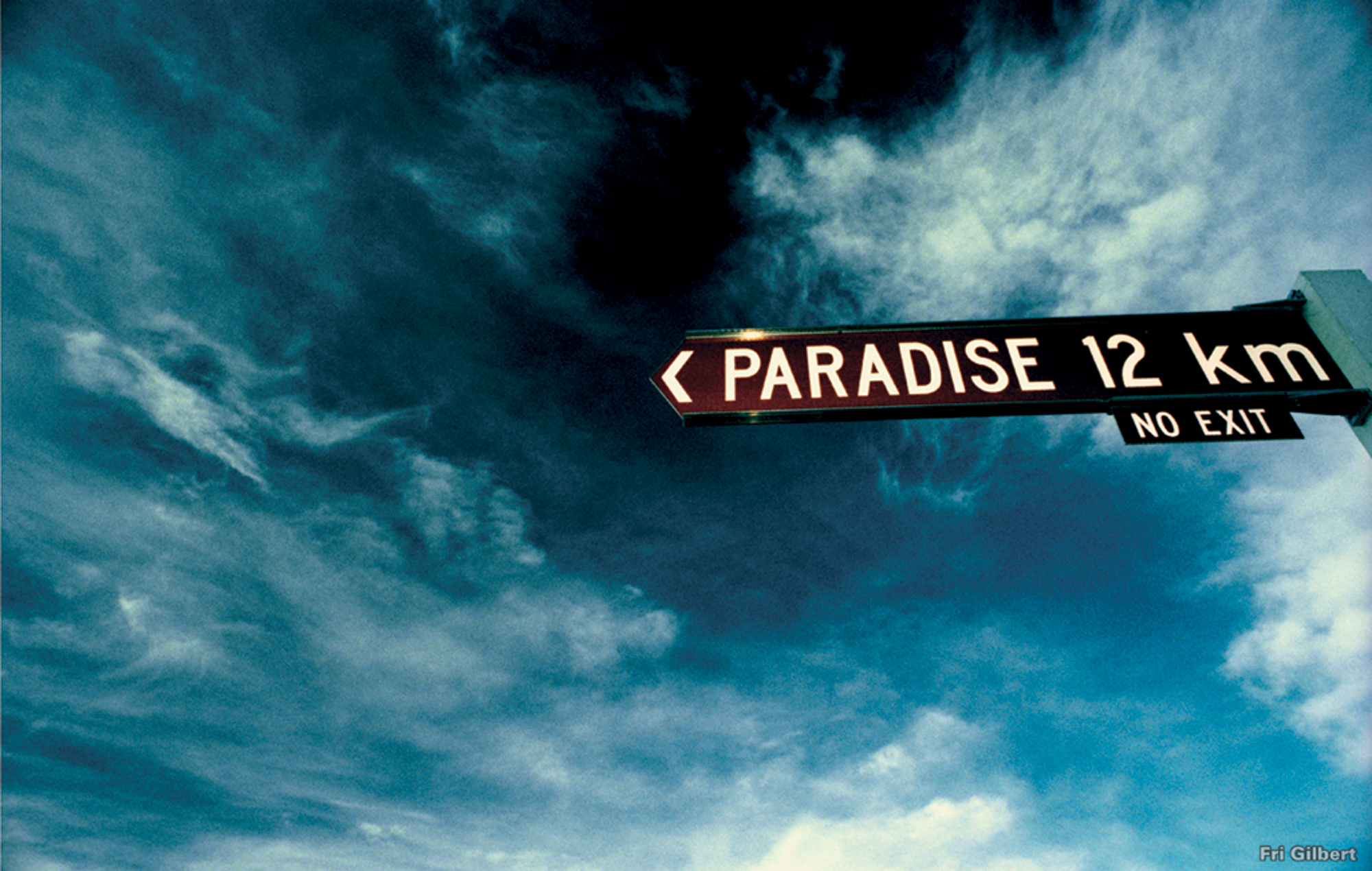 Paradise edits. Имя рай. Own Paradise lxaes. Own Paradise. Own Paradise песня.
